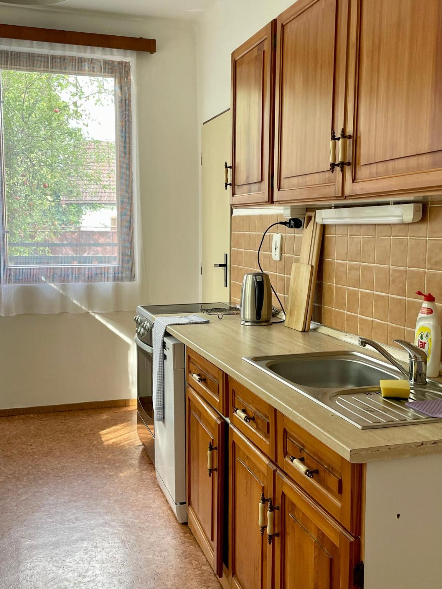 Apartment S Terasou Lysa ليسا ناد لابيم المظهر الخارجي الصورة